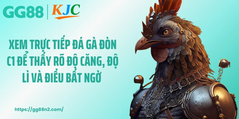 Xem trực tiếp đá gà đòn C1 để thấy rõ độ căng, độ lì và điều bất ngờ